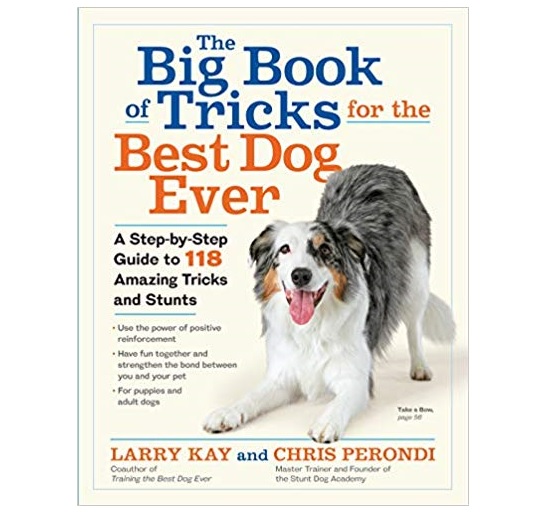 Big-Book-Tricks-Best-Dog