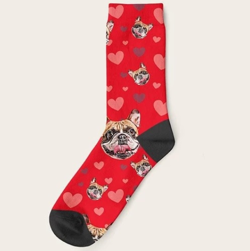 dogs-n-sox
